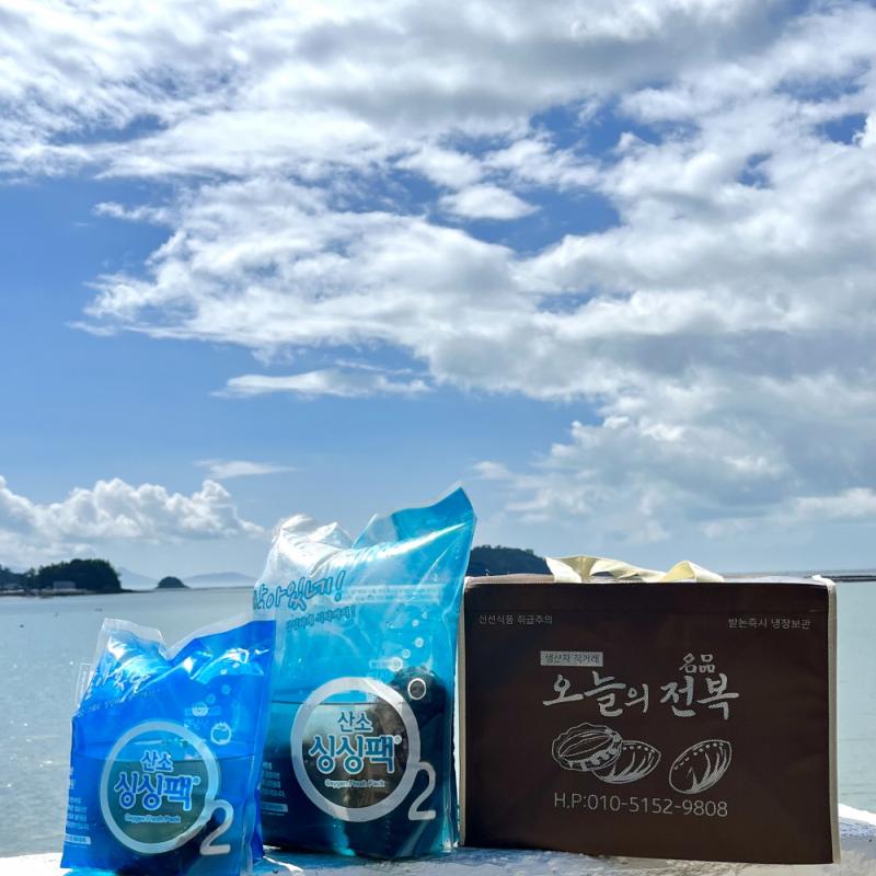 활전복 1kg