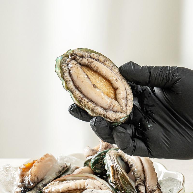 활전복 1kg