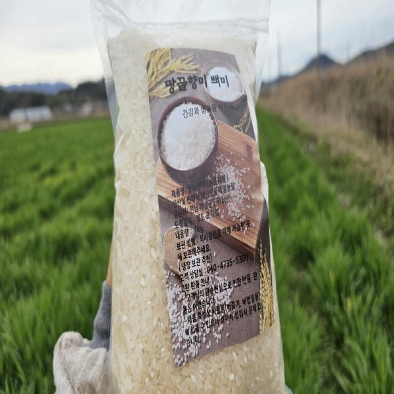 25년 땅끝향미 백미 550g/1kg/3kg