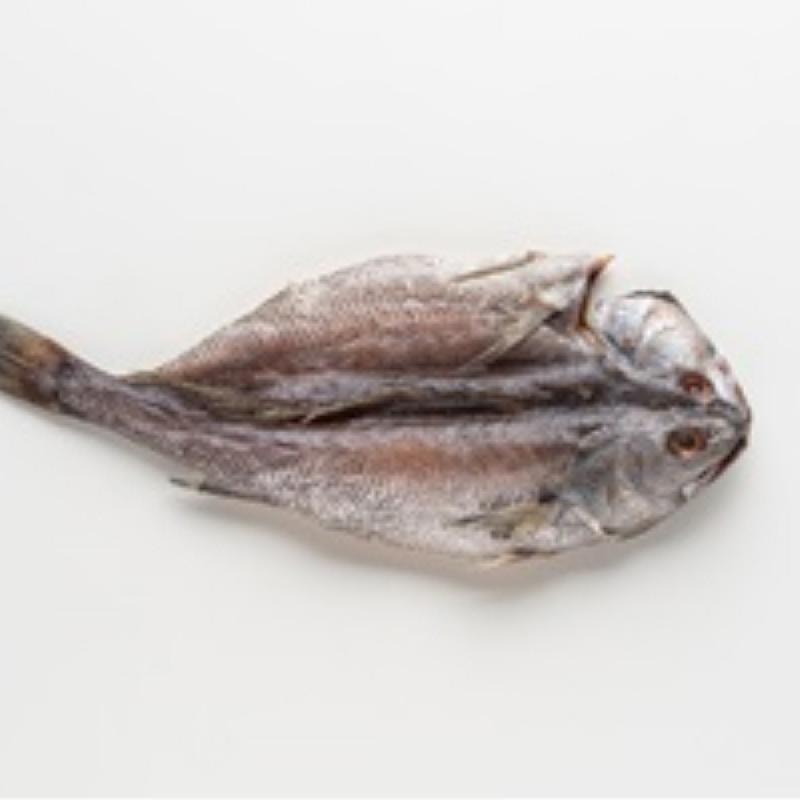 반건조 활복민어