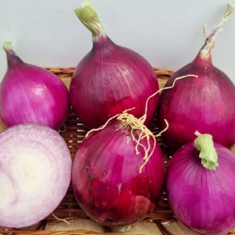 자색양파 3kg/5kg(대중소 혼합)