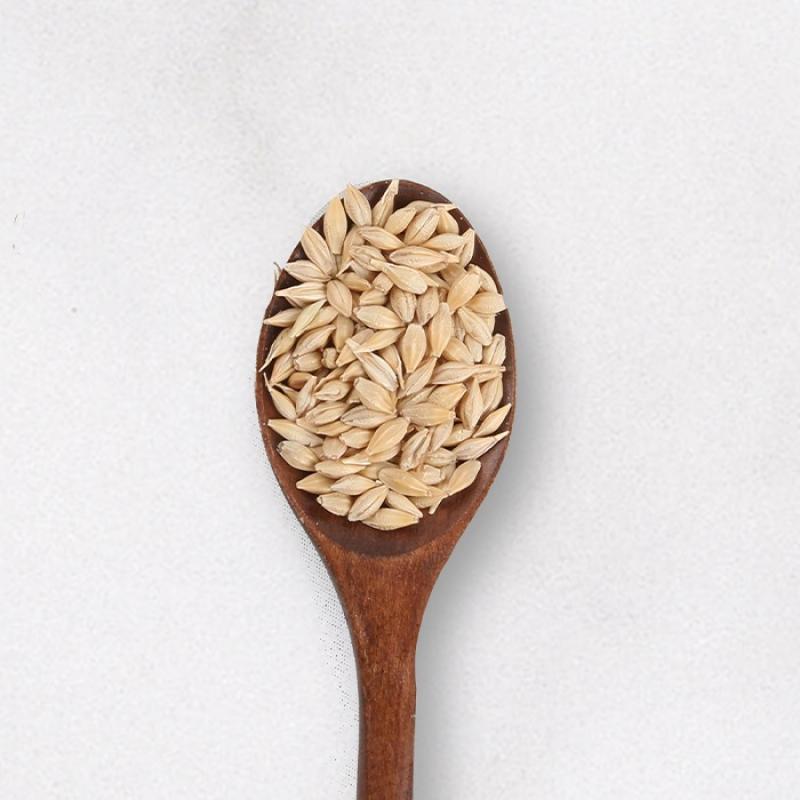 26년 겉보리 1.8kg/3.6kg
