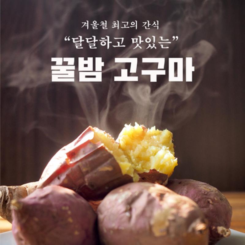 26년산 비세척 꿀밤고구마 2kg/3kg/5kg/10kg