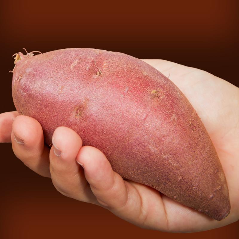 26년 비세척 꿀고구마 3kg/5kg/10kg
