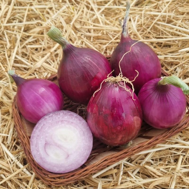 자색양파 3kg/5kg(대중소 혼합)