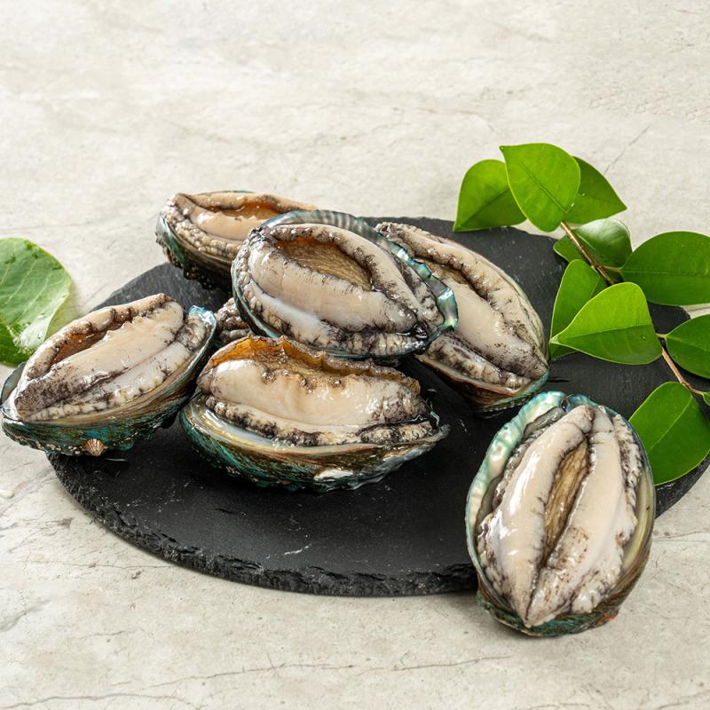 활전복 1kg