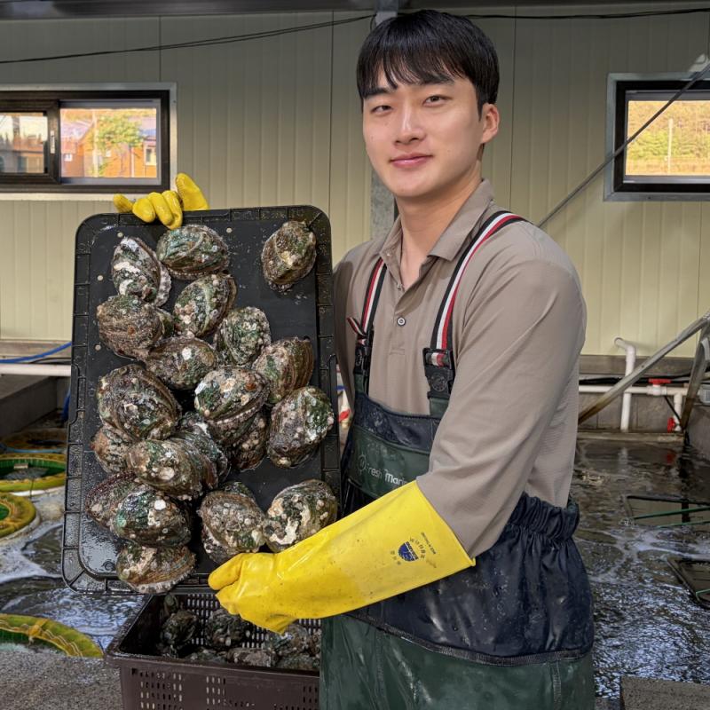 활전복 1kg