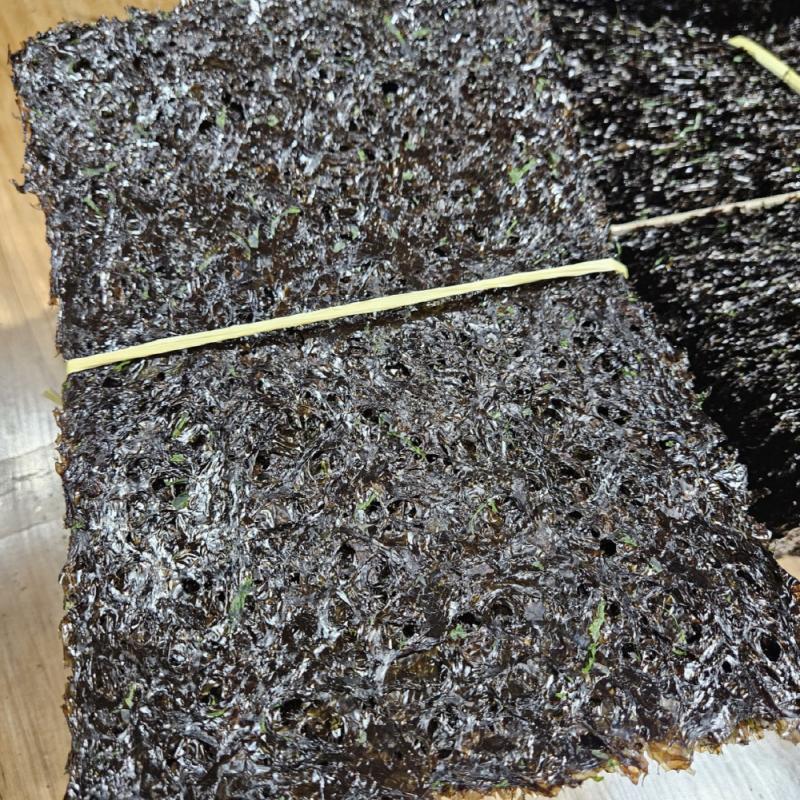 곱창돌김 1톳 100매