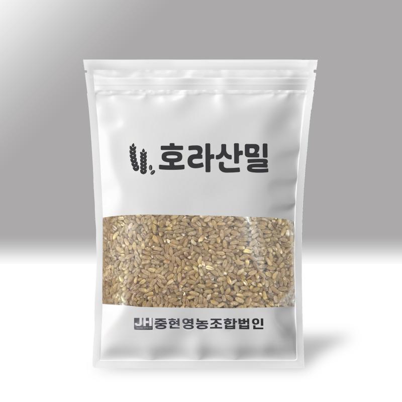 25년산 호라산밀(햅곡) 2kg