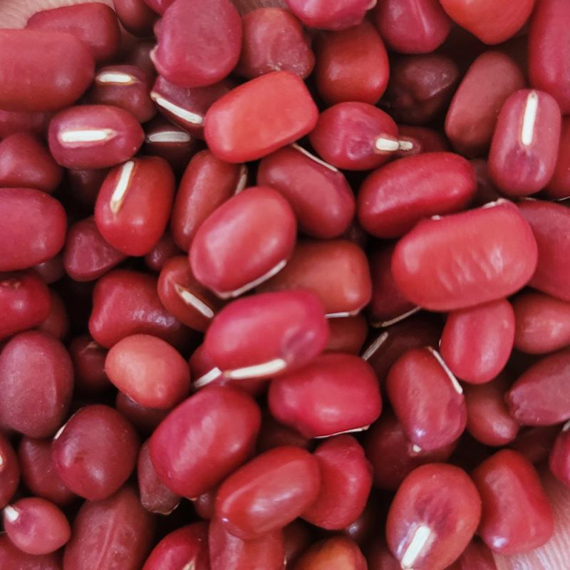 25년산 팥 600g/1kg