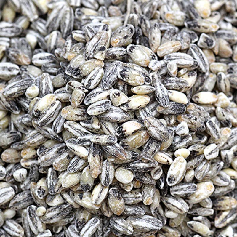 검정찰보리쌀 600g/1kg/5kg/10kg