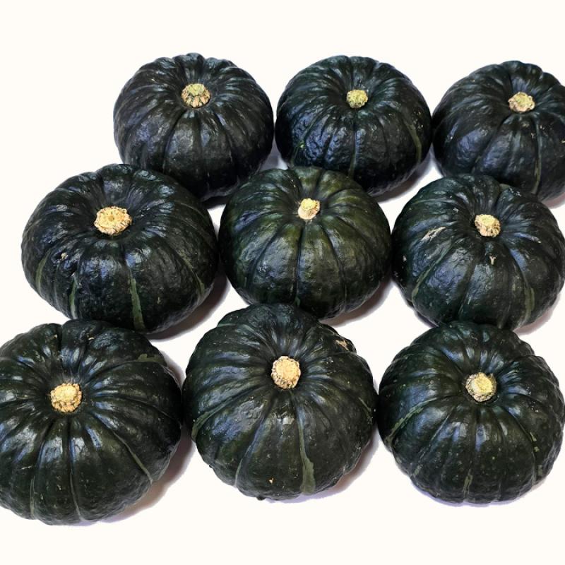 미니밤호박 4kg