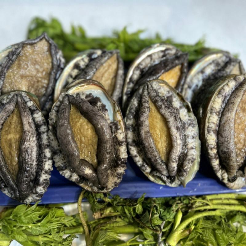 활전복 1kg