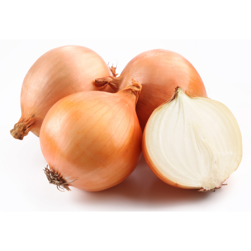 26년 햇양파(만생종)  3kg/5kg/10kg