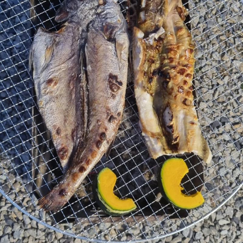 반건조 활복민어