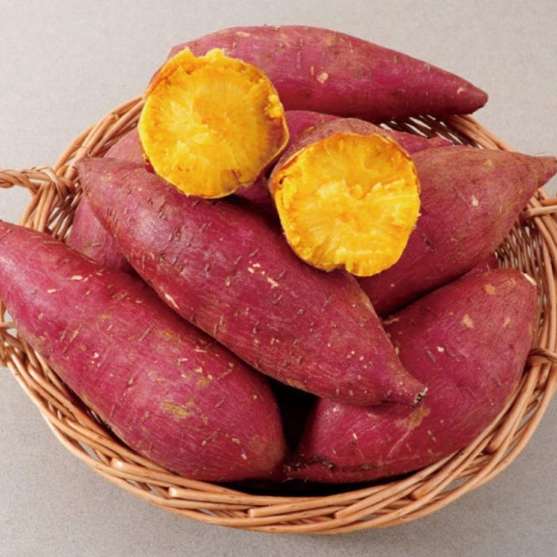 26년 조영래 세척 호박고구마(호풍미) 3kg/5kg/10kg