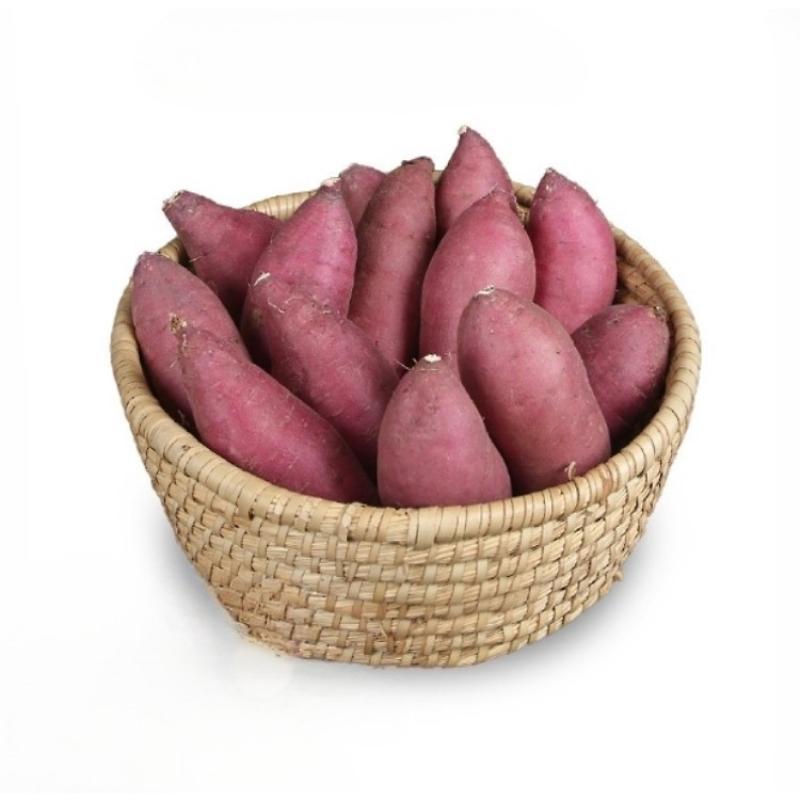 26년 비세척 꿀밤고구마 3kg/5kg/10kg