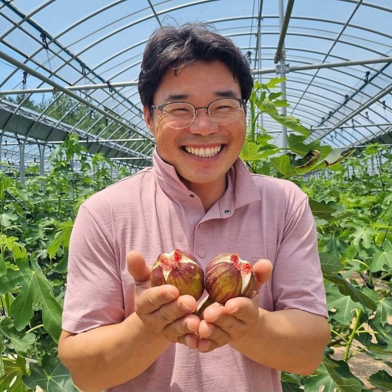 무농약 행복한무화과 2팩/3팩/5팩