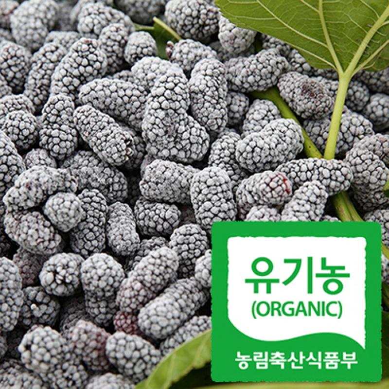 급속냉동 오디 600g(유기농)