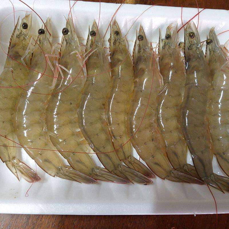 흰다리새우 1kg(35-40미)