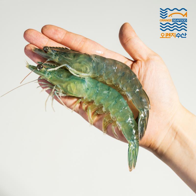 흰다리새우 1kg(30-35미 내외)