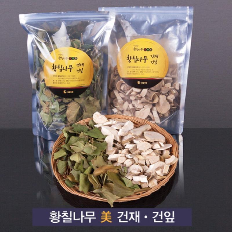 황칠나무 건재/건잎