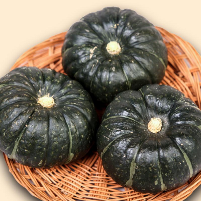 미니밤호박 4kg