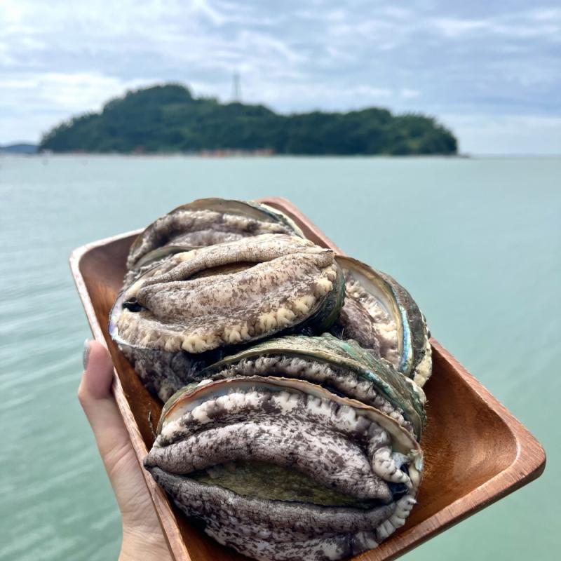 활전복 1kg
