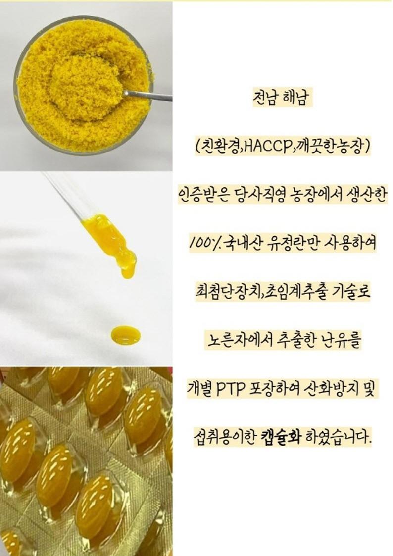 난황유캡슐 에코드림 아이테르 37