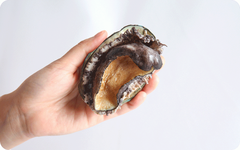 활전복 1kg