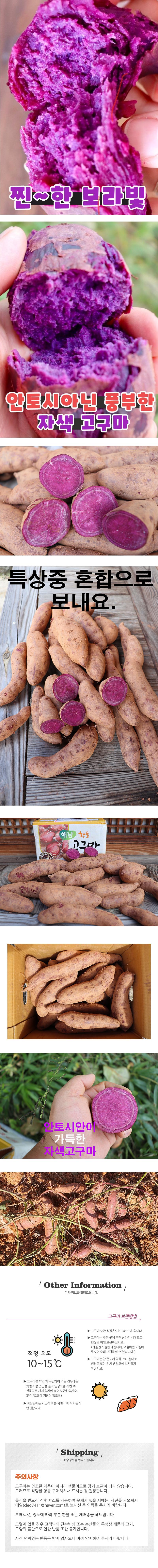 26년산 비세척 자색고구마 2kg/3kg/5kg/10kg(특,상,중 혼합)