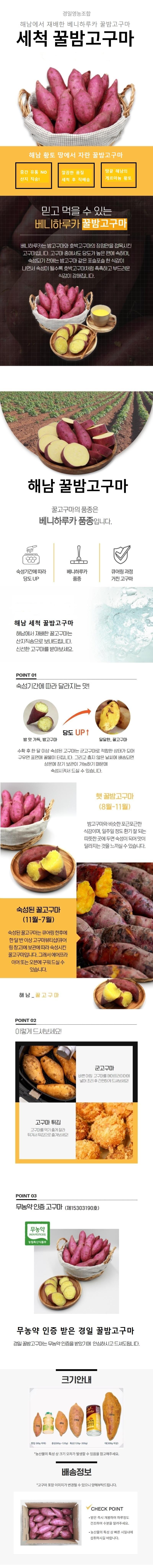 26년 세척 꿀밤고구마 3kg/5kg/10kg