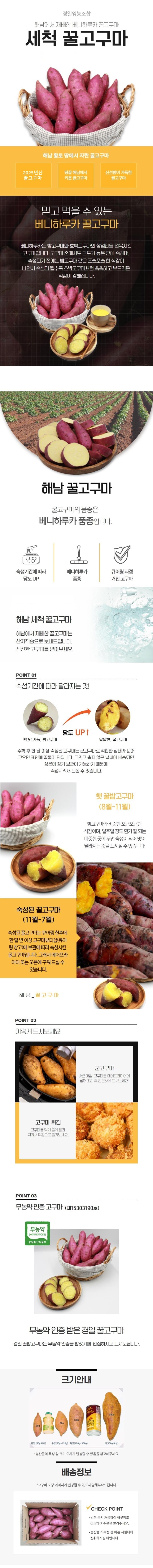 25년산 세척 꿀고구마 3kg/5kg/10kg