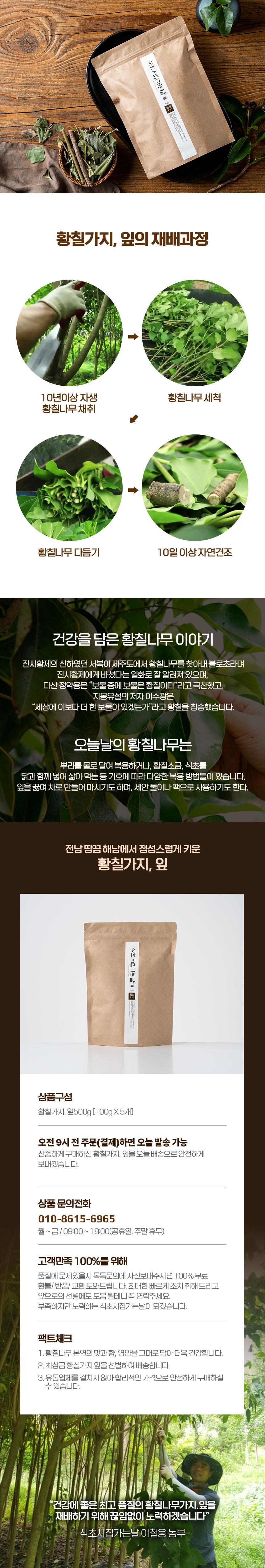 황칠나무가지(잎) 500g