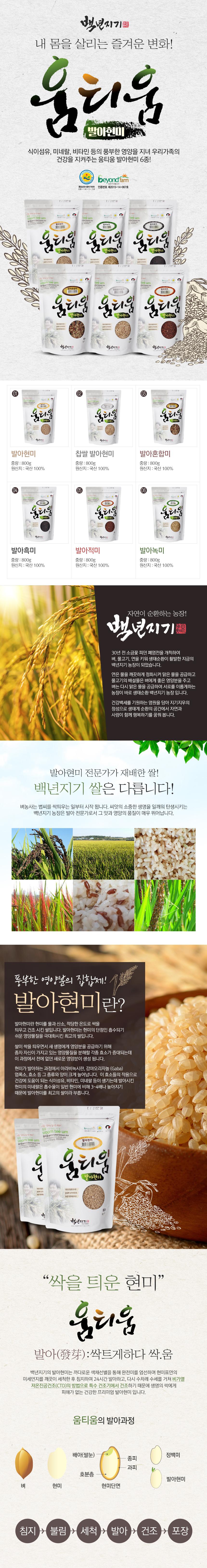발아찹쌀현미 800g