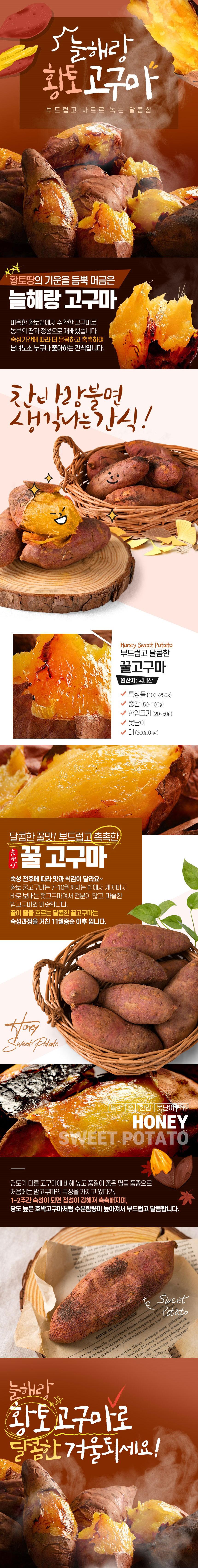 25년산 세척 꿀밤고구마 2kg/3kg/5kg/10kg