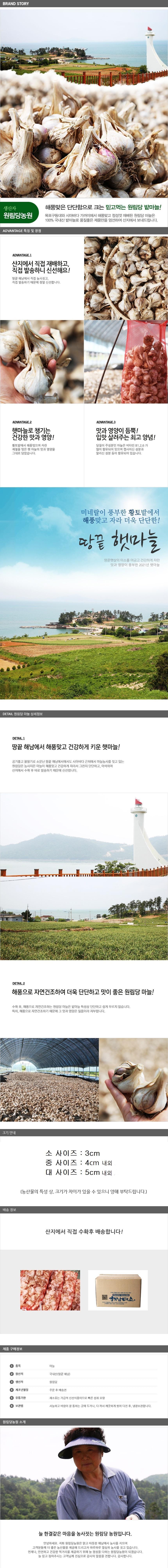 햇마늘 반접/한접