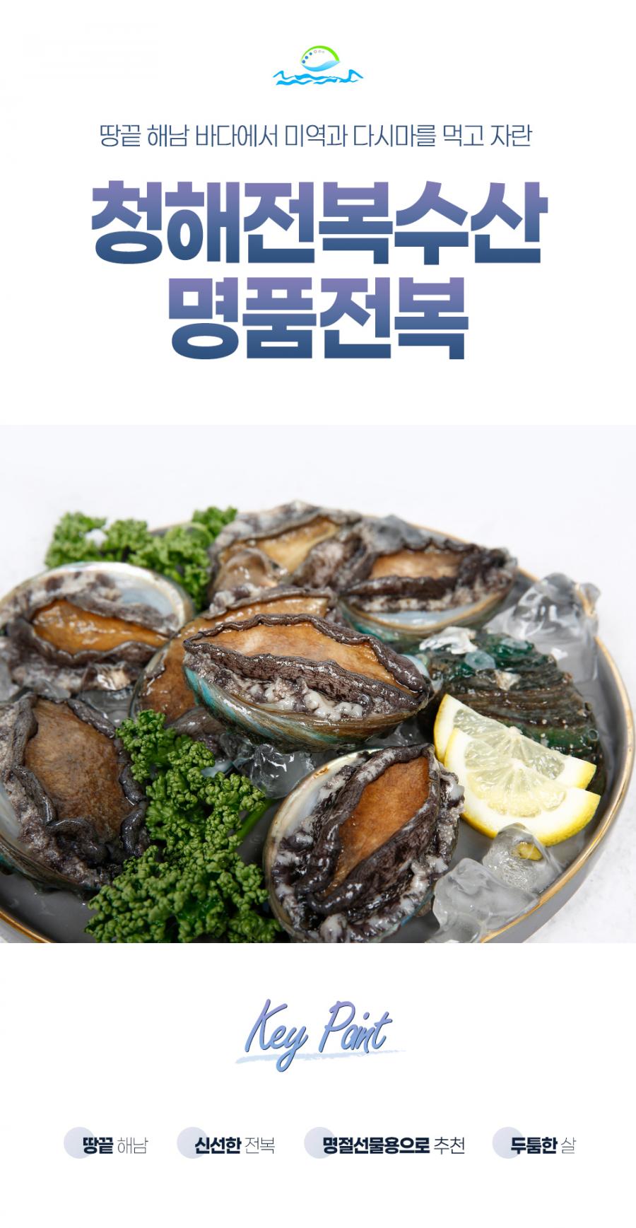 활전복 1kg