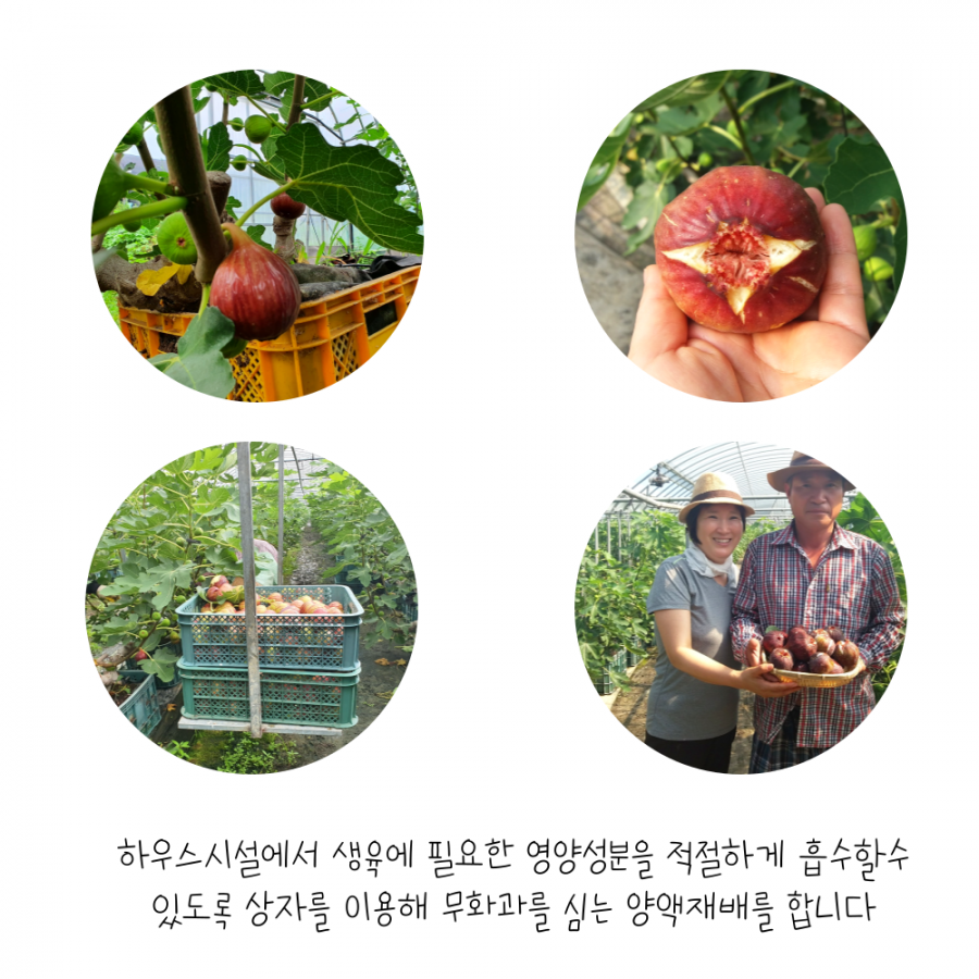 무화과잼 260g*2개